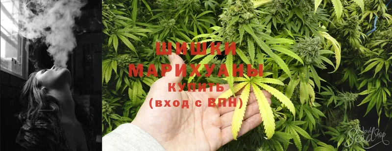 даркнет телеграм  Казань  Бошки марихуана White Widow 